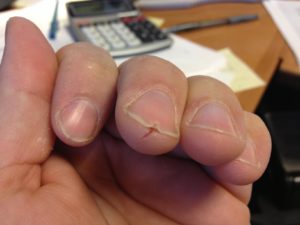 “The best purchase I have ever made.”