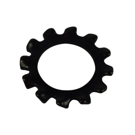 M6 External Tooth Lock Washer